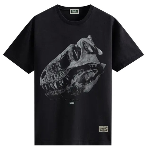 Kith Other - Kith Charcoal Crewneck Tee dinosaur